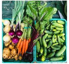 GOSPODARSTWO ROLNE SZCZEPAN KRAWCZYSZYN