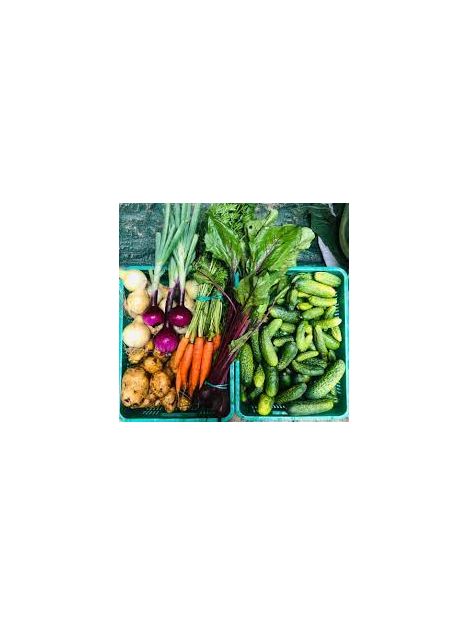 GOSPODARSTWO ROLNE SZCZEPAN KRAWCZYSZYN