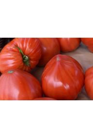 Pomidor bawole sercowaty