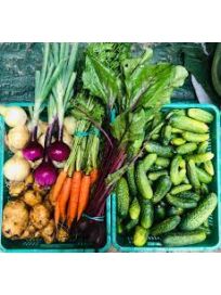 GOSPODARSTWO ROLNE SZCZEPAN KRAWCZYSZYN